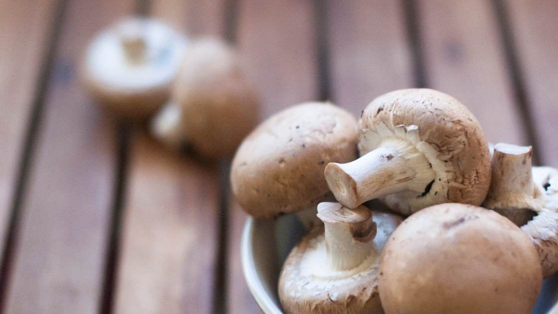 What are Cremini Mushrooms? (Everything you need to know